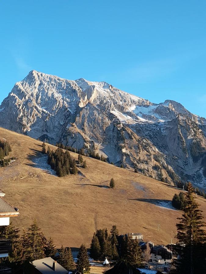 Appartement Au Coeur Des Aravis 马尼戈 外观 照片